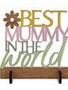 The Best Mummy in the World Plaque