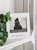 Best Friends Forever Photo Frame